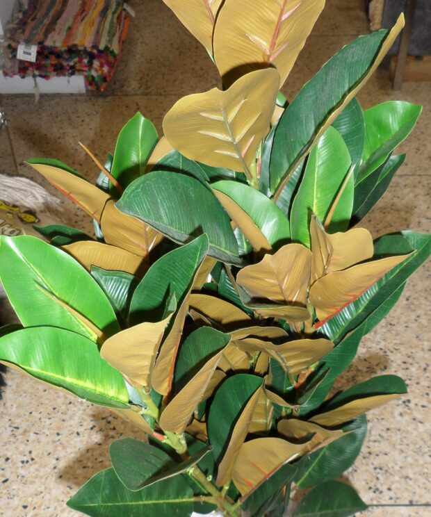 Artificial Plant