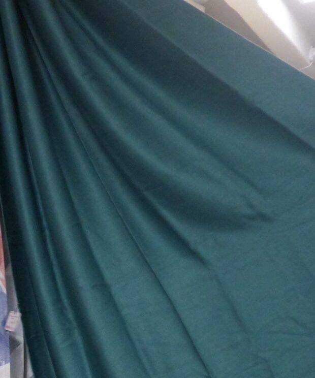 Beninton BLack Out Curtain